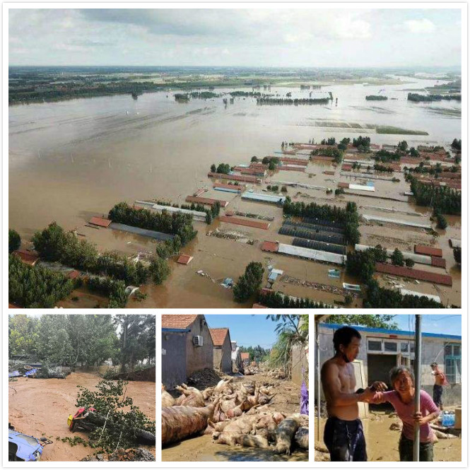 ÌǹûÅɶԹÙÍø-×·Çó¿µ½¡,ÄãÎÒÒ»ÆðÉú³¤